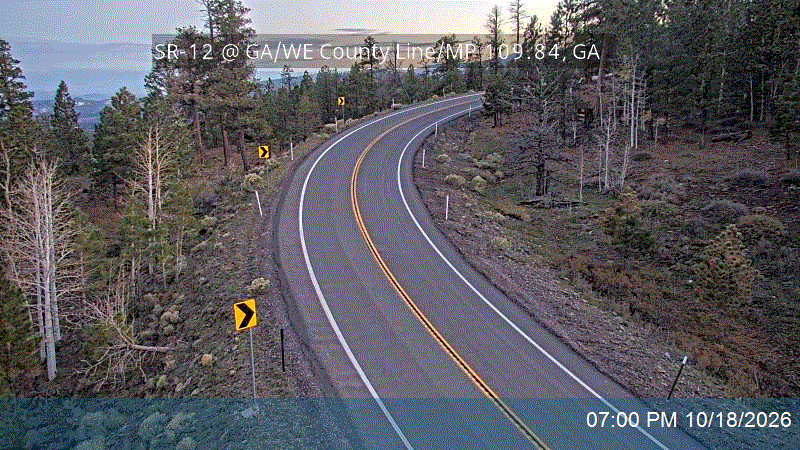 SR-12 @ GA/WE County Line / MP 109.84, GA
