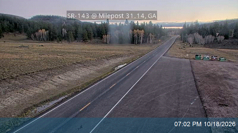 SR-143 @ Milepost 31.14, GA