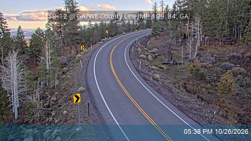 SR-12 @ GA/WE County Line / MP 109.84, GA